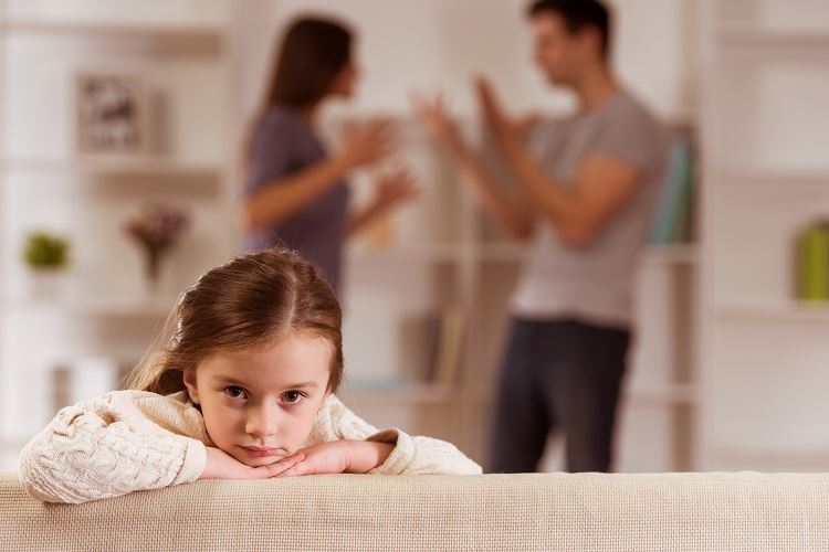 custody dispute CA